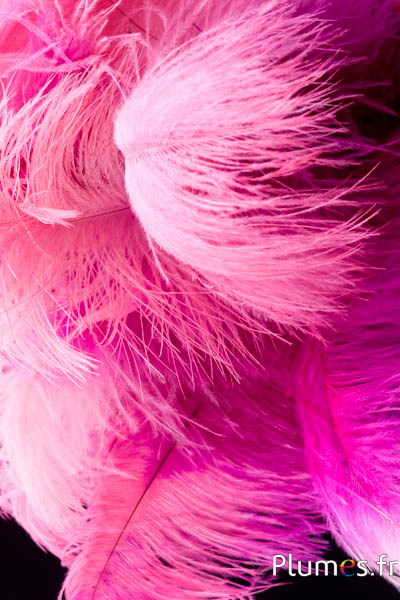 Autruche - 30-40 cm - fuchsia-rose ancien 